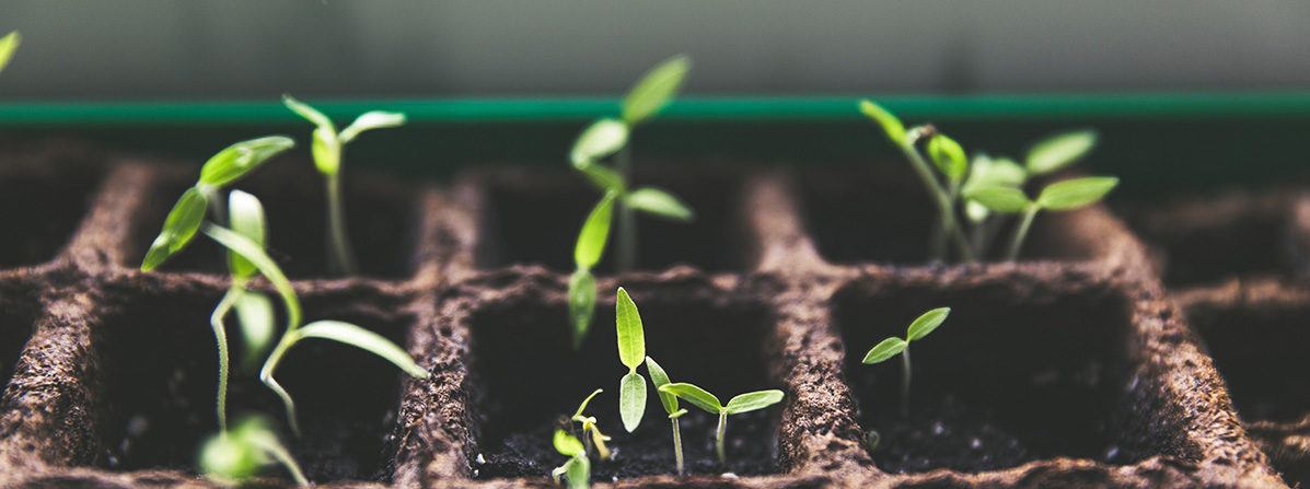Five Growth Tips for Your Nonprofit