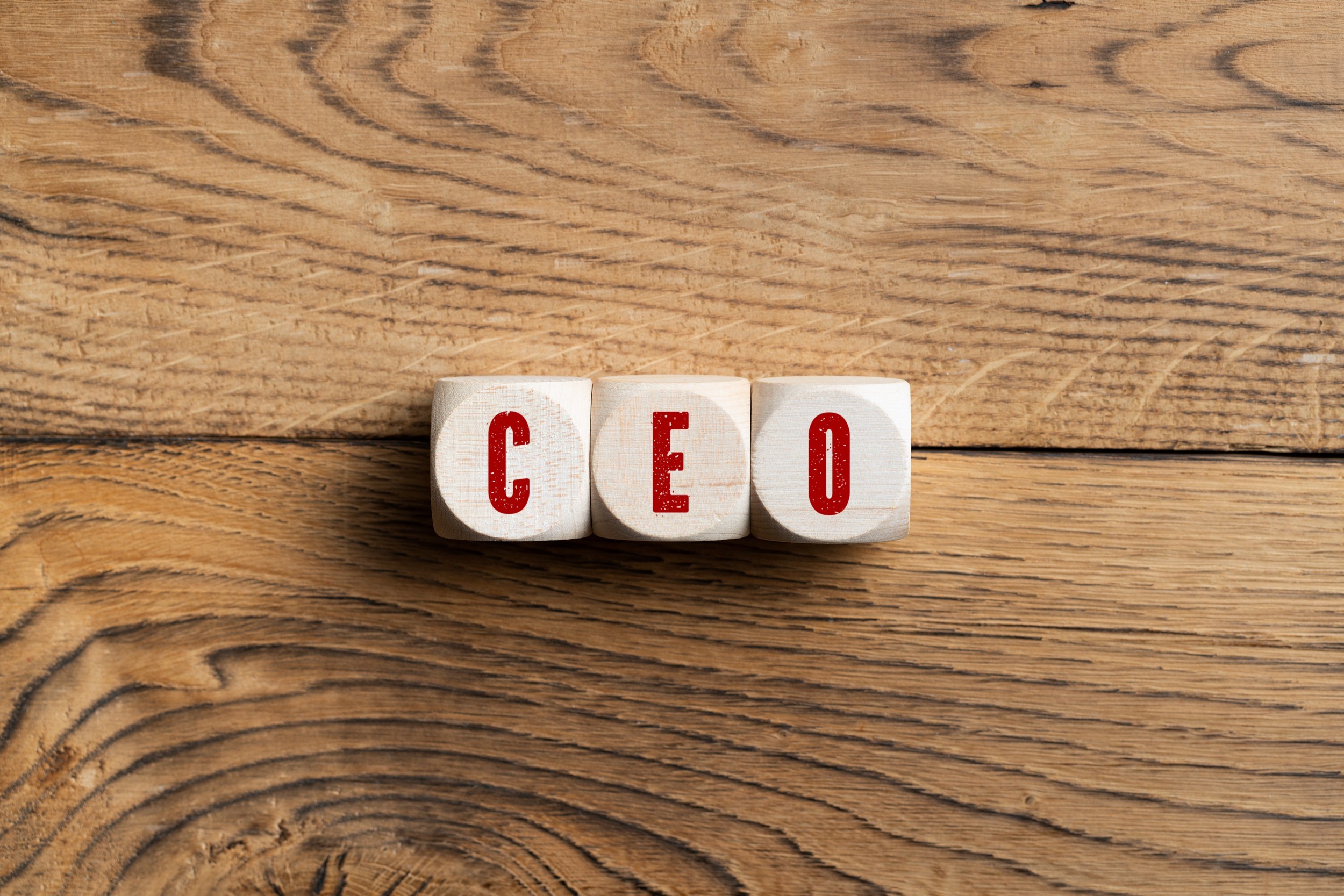 The Different Roles A CEO Needs To Play
